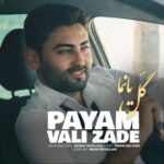 دانلود آهنگ جدید پیام ولیزاده گل یانما